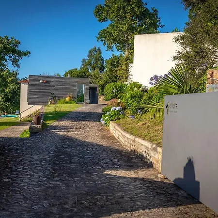 Amare Nocleg ze śniadaniem