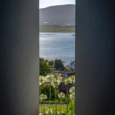 Amare *